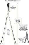 PetSafe Deux points de contrôle laisse, rembourré et réfléchissant Nylon laisse se convertit en une seule laisse, fonctionne avec 3in1 Harnais, 3/4 po. Grande laisse
