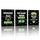 HPNIUB Video Game Wall Art Prints,Funny Quotes Painting Set of 3 Pieces (11.8x15.6inch) Canvas Gamer...