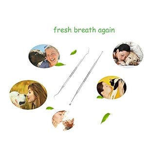 Dog Tooth Scaler and Scraper - 2 Pack Upgrade Pet Tarter Remover with Different Angles Double Head, Stainless Steel Teeth Cleaning Tools for Dogs Dog Tooth Scaler and Scraper – 2 Pack Upgrade Pet Tarter Remover with Different Angles Double Head, Stainless Steel Teeth Cleaning Tools for Dogs