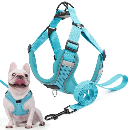 Hundegeschirr für Kleine Mittelgroße Hunde, Anti Zug Reflektierend Welpengeschirr mit Leine, Verstellbar Air Mesh Atmungsaktiv Brustgeschirr für Hunde Gassigehen, Training und Reisen (Seeblau, L)