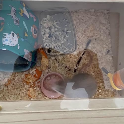 3 Stück Hamster Keramik Futterschalen Set Kleintiere Keramische Näpfe Meerschweinchen Futternapf Rennmaus zwerghamster Mäuse Anti-Biss Zubehör