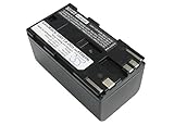 Eotdoo   Batterie de remplacement pour Canon XL1 (monture dorée), XL1S (avec monture dorée), XL2, XL2, XM1, XM2, XV1, XV2, numéro de pièce BP 950, BP 950G