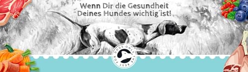 Fresco Dog Barf Wurst Complete-Menü Lachs und Rind mit Karotte | 400 g | Futtermittel für Hunde mit Lachs und Rind mit Karotte | Kann dabei helfen Hunde optimal zu versorgen