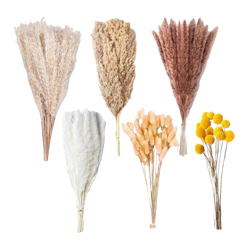 Ramo de pasto pampas seco 100 piezas para decoración miniatura 4