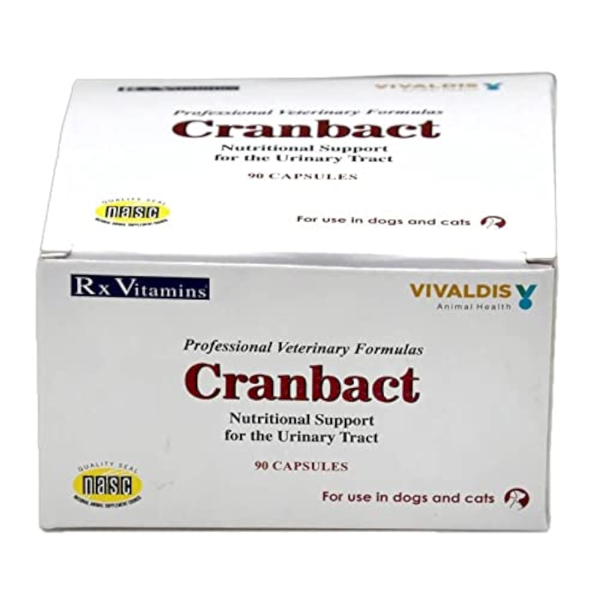 Cranbact Capsules for Urinary Tract Health, Antioxidant Support