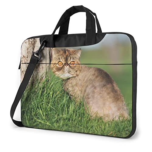 GL]`bNV[gwA ʐ^ PCP[X m[gp\RobO bvgbv یP[X PCobO Ռz y rWlXobO nhobO u[tP[X 񂰃obO t ΂ߊ|obO 13/14/15.6C`