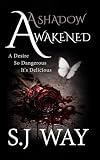 awakened shadowrun  A Shadow Awakened: 1 (The Shadow Warden Series)