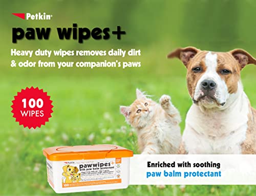 Petkin Paw Wipes Plus, 100 Orange Scented Wipes - Absorbent Pet Paw Wipes Remove Daily Dirt & Odors - Enriched With Paw Balm Protectant - Easy To Use Pet Wipes For Dogs, Cats, Puppies & Kittens #TOP1