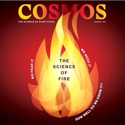 The Science of Fire by The Royal Institution of Australia episode artwork