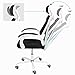 AuAg Modern White Gaming & Office Mesh Back Ergonomic High Back Lumbar Support Adjustable Swivel Rolling Chair - White