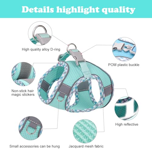 Dog Harness and Leash Set, No Pull Adjustable Reflective Pet Harness for Small Medium Dogs, Easy Walk Step in Vest Harness Outdoor Hiking Training for Extra Small Dogs, Puppy, Cats(Green, XXS) Dog Harness and Leash Set, No Pull Adjustable Reflective Pet Harness for Small Medium Dogs, Easy Walk Step in Vest Harness Outdoor Hiking Training for Extra Small Dogs, Puppy, Cats(Green, XXS)