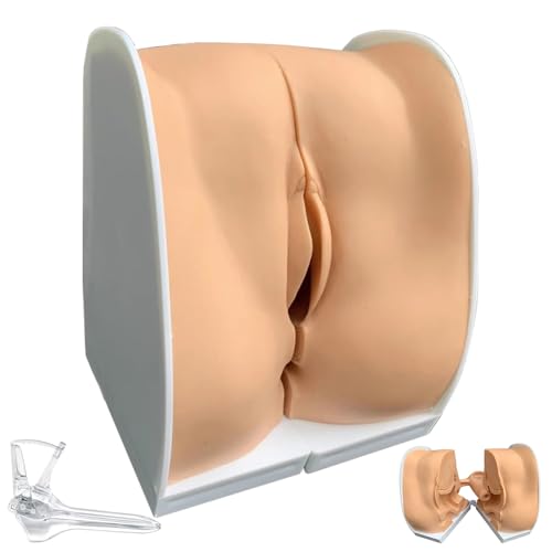 Modèle de vessie urinaire d'ovaire d'utérus pour simplifier l'anatomie