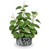Artificial Plants Decor Greenery Fake Ficus Leaf Indoor Potted 14 Fake Plant with Seeds in Rustic Black Ceramic Planter for Farmhouse Room Bathroom Bedroom Kitchen Office Table Desk Decor