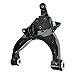 TRQ Front Lower Control Arm Set Compatible with 1996-2002 Toyota 4Runner