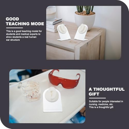 Modèle oreille silicone YARNOW pour s'exercer au piercing sans risque sur support