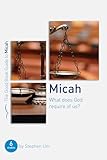 Micah: What Does God Require of Us? (Good Book Guides)