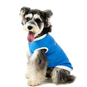 Dog T-Shirt Sleeveless Vest Lightweight Breathable Pet Apparel Solid Color Puppy Dog Sweatshirt Dog Clothes (Medium, Blue)