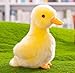 6 Inch Small Yellow Chick and 8 Inch Small Yellow Duck Plush Toys