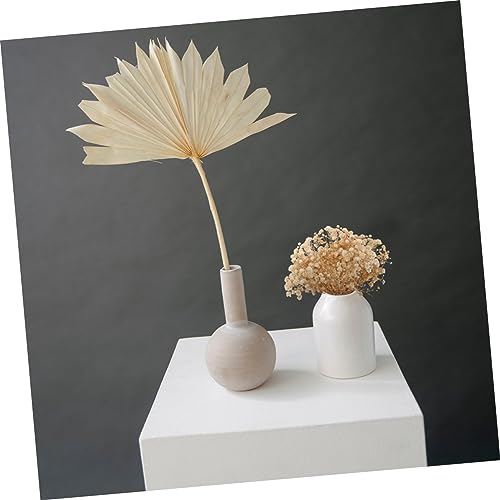 Ramo de flores secas decorativas en beige miniatura 6