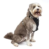 Kurgo Dog Harness | Car Harness for Dogs | Extra Large | Black | Pet Safety Seat Belt | Certified Crash Tested Harness | Car Seatbelt | Tru-Fit Enhanced Strength Style