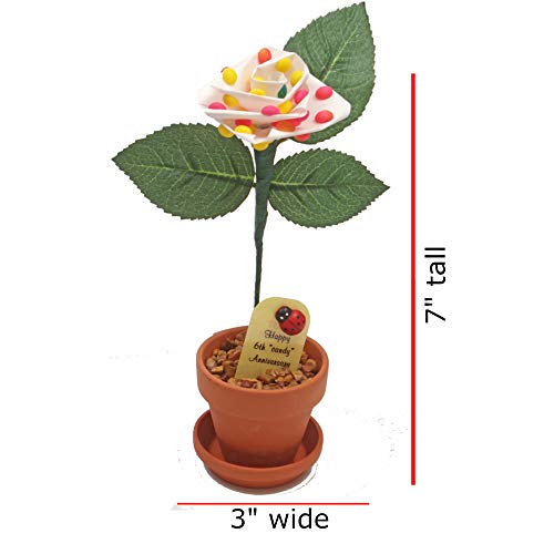 Justpaperroses 6Th Year Wedding Anniversary 7 Inch Potted Candy Desk Rose #TOP2
