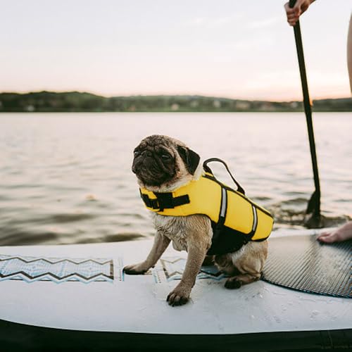 Satiskid Hunde Schwimmweste, Rettungsweste mit Auftrieb & Sicherheit für Kleine Hunde, XS, Mit Rettungsgriff & Reflektierenden Elementen für Wassersport und Strand (Gelb)