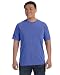Comfort Colors 6.1 oz. Ringspun Garment-Dyed T-Shirt, Large, PERIWINKLE