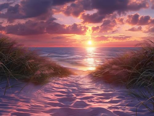Diamond Painting plage 70x90cm : kit complet de peinture diamant algue 5D pour broderie adulte