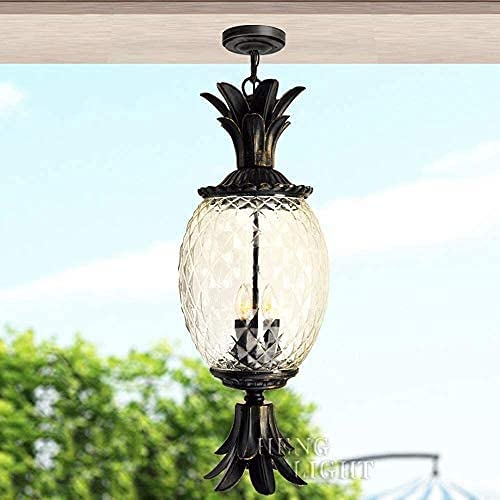 Suspension étanche en fer traité et verre de style ananas créatif E14