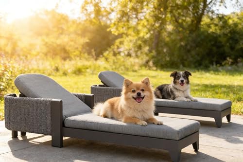 PURPLE LEAF Chaise Set