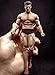 TBLeague HiPlay 6" Male Seamless Action Figures Full Set-Silicone Body+Head+Underwear-1/12 Scale Super Flexible Male Dolls for Arts/Drawings/Photography (TM02A)