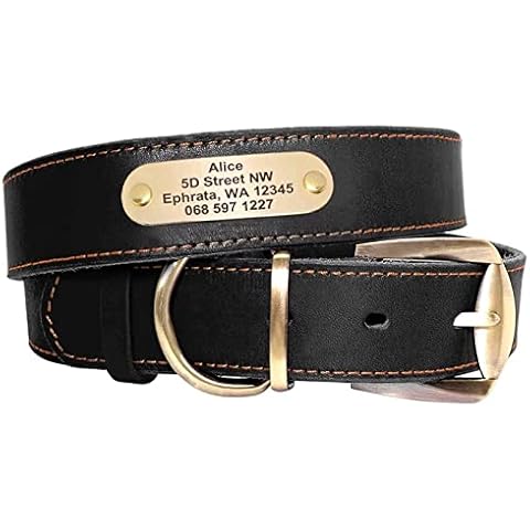 Collar de Perro de Cuero Genuino Didog con Etiqueta grabada (S, Negro) Cover