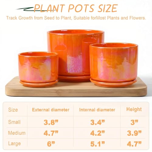 EFISPSS Ceramic Planter 8 Inch, Ceramic Plant Pots with Drainage Hole and Saucer, Indoor Modern Flower Pot for Home and Office Flower Pot - Blue by EFISPSS - Image 2