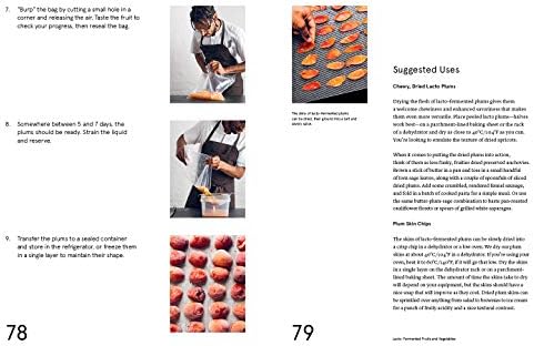 Noma Guide to Fermentation: Foundations of Flavor