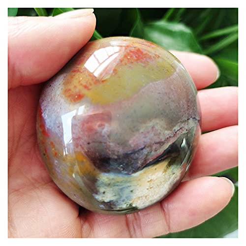 SSOPTMCB VRNX^ e VR } WXp[ p[ NX^ RNV Xg[ƃNX^ CL NX^(J[ : A150 111g)