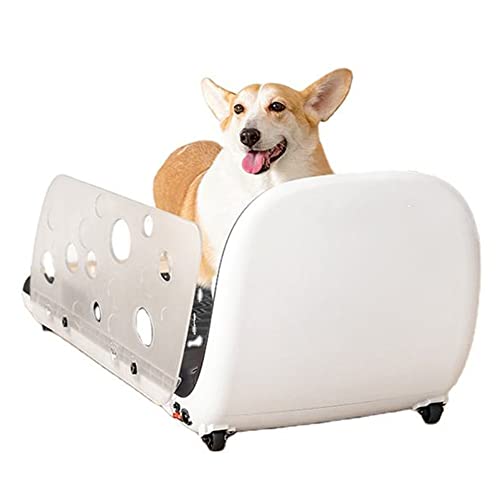 EROFEL Dog Desktop Treadmill, Pet Treadmill with Remote Control and Display Screen 4 Modes Indoor Dogs Exercise Training Equipment, with Safety Fence, Maximum Load: 40 KG