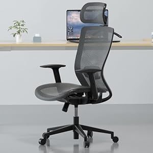 FLEXISPOT OC3B Office Chair, Ergonomic Desk Chair, Modern Computer Chair with Lumbar Support, Adjustable Headrest, Executive Chair, Executive Chair