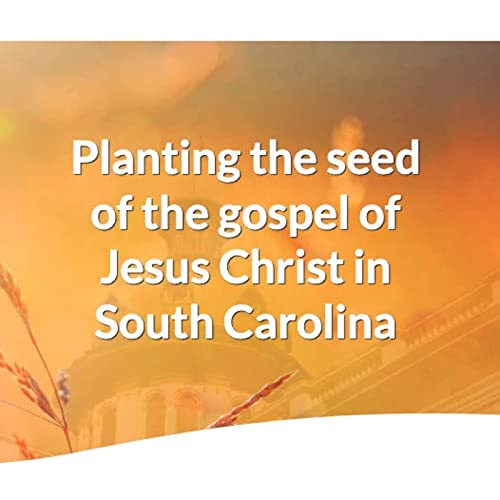 Capitol Ambassadors cover art