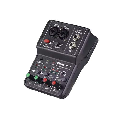 USB Audio Interface for PC Recording Q-12