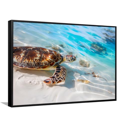Sea Turtle on Tropical Beach Canvas Wall Art Framed Print Coastal Ocean Blue Water Gallery Wrapped Large for Living Room Bedroom Bathroom Hallway Office Beach House Ready to Hang(24"X36"Black-Frame)