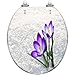 Round Toilet Seat first flowers Resin Toilet Seat Quietly Slow Close with Quick-Release Hinges Toilet Seat with Cover Easy to Clean Install