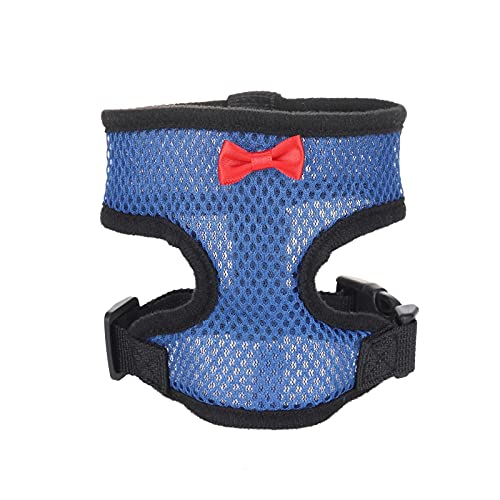 Ydsxlp Harnais pour poules - Taille du poulet - Avec laisse assortie - Réglable - Résistant - Respirant - Pour l'entraînement des poules, promenades au canard, a-bleu, M Cover