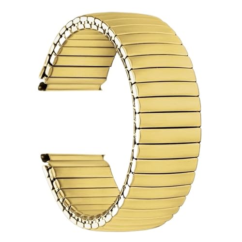 HBGRVCKS Correa de reloj elástica de acero inoxidable de 12 mm, 14 mm, 16 mm, 18 mm, 20 mm y 22 mm, correa de repuesto for reloj, accesorios for reloj, correa de reloj unisex(Gold,22mm)
