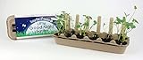 Backyard Safari Company Sunny-Side Up Gardens, Little Good Night Garden