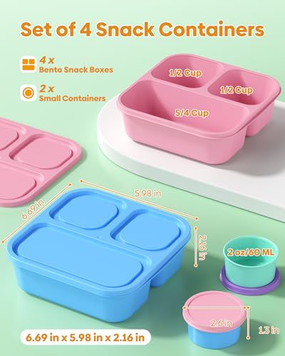 Canfanni 4-Piece Bento Box Set