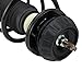 TRQ Front Suspension Kit Complete Strut & Coil Spring Assembly Sway Bar Stabilizer Link Compatible with 2018-2021 Hyundai Accent Kia Rio