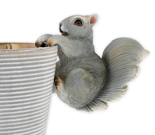 The Bridge Collection Decorative Squirrel Pot Hanger – Cute Garden