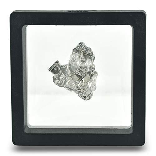 Starborn Genuine Campo Del Cielo 20-30 gram Meteorite Nugget