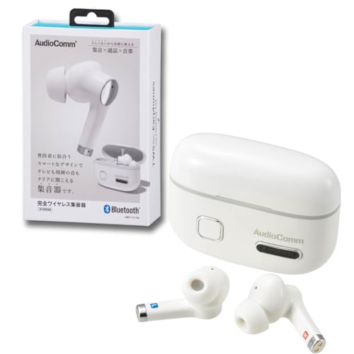 集音器 充電式 イヤホンタイプ」の人気商品一覧 | 安い商品を