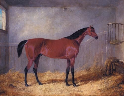 Impression sur Toile Bolivar de Grafton Herring Jnr Peinture Fine Art Écurie 60x90cm